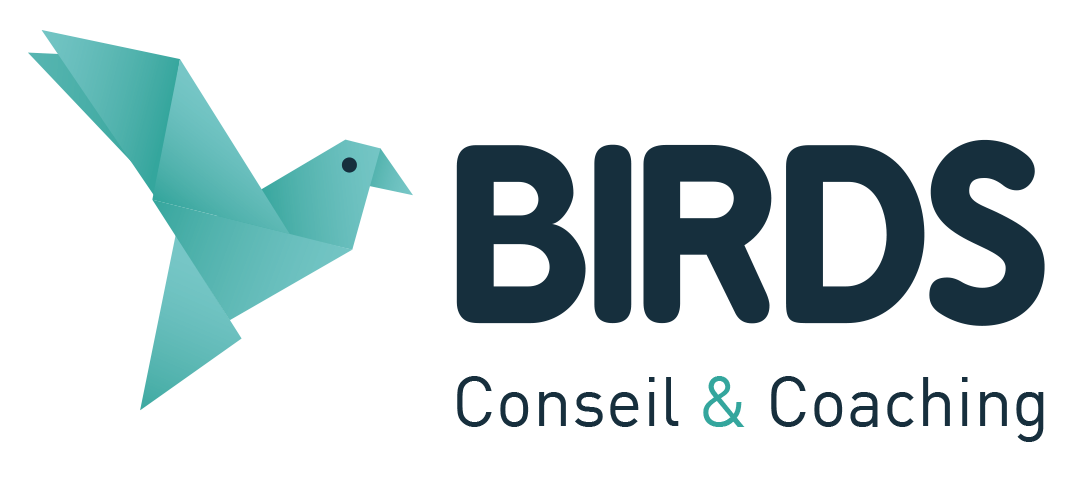 logo Bird Conseil
